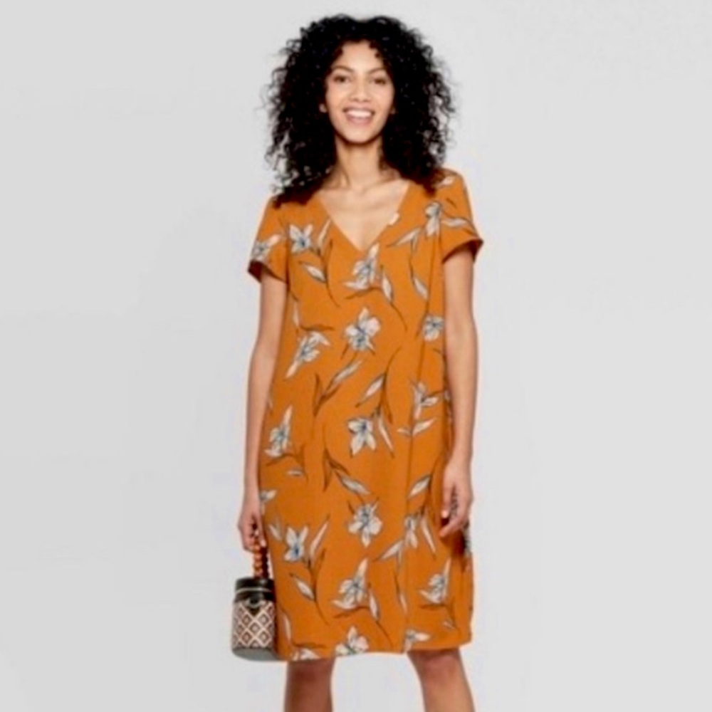 A New Day Shift Dress